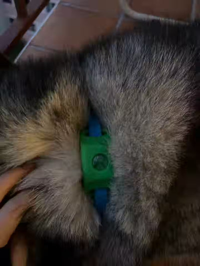 FleaYouLater Pet