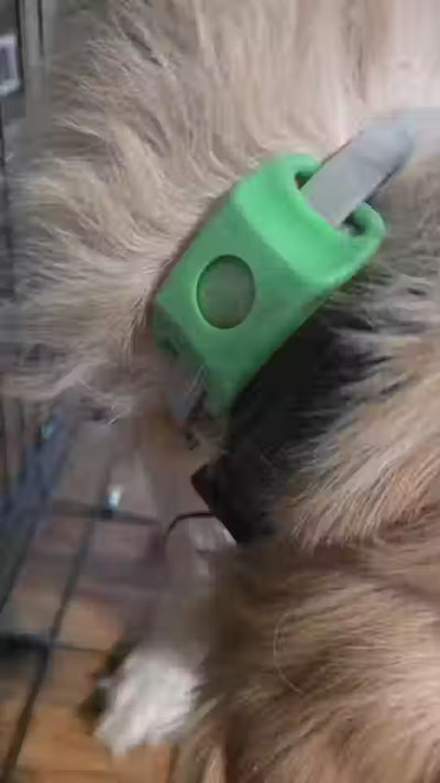 FleaYouLater Pet