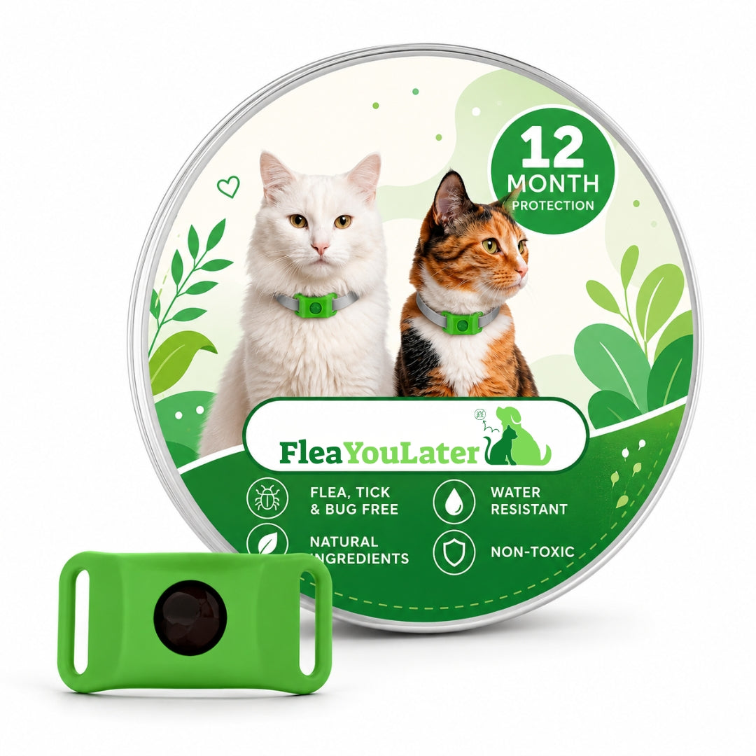 12 Months Chemical-Free Flea & Tick Tag for cats
