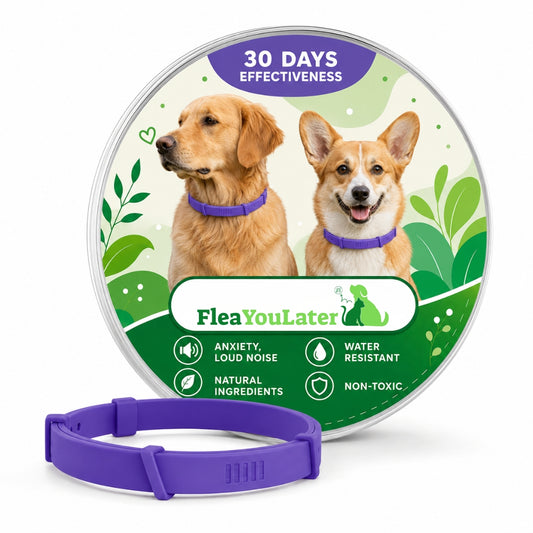 Advanced Anxiety & Stress Relief Calming Collar for Dogs