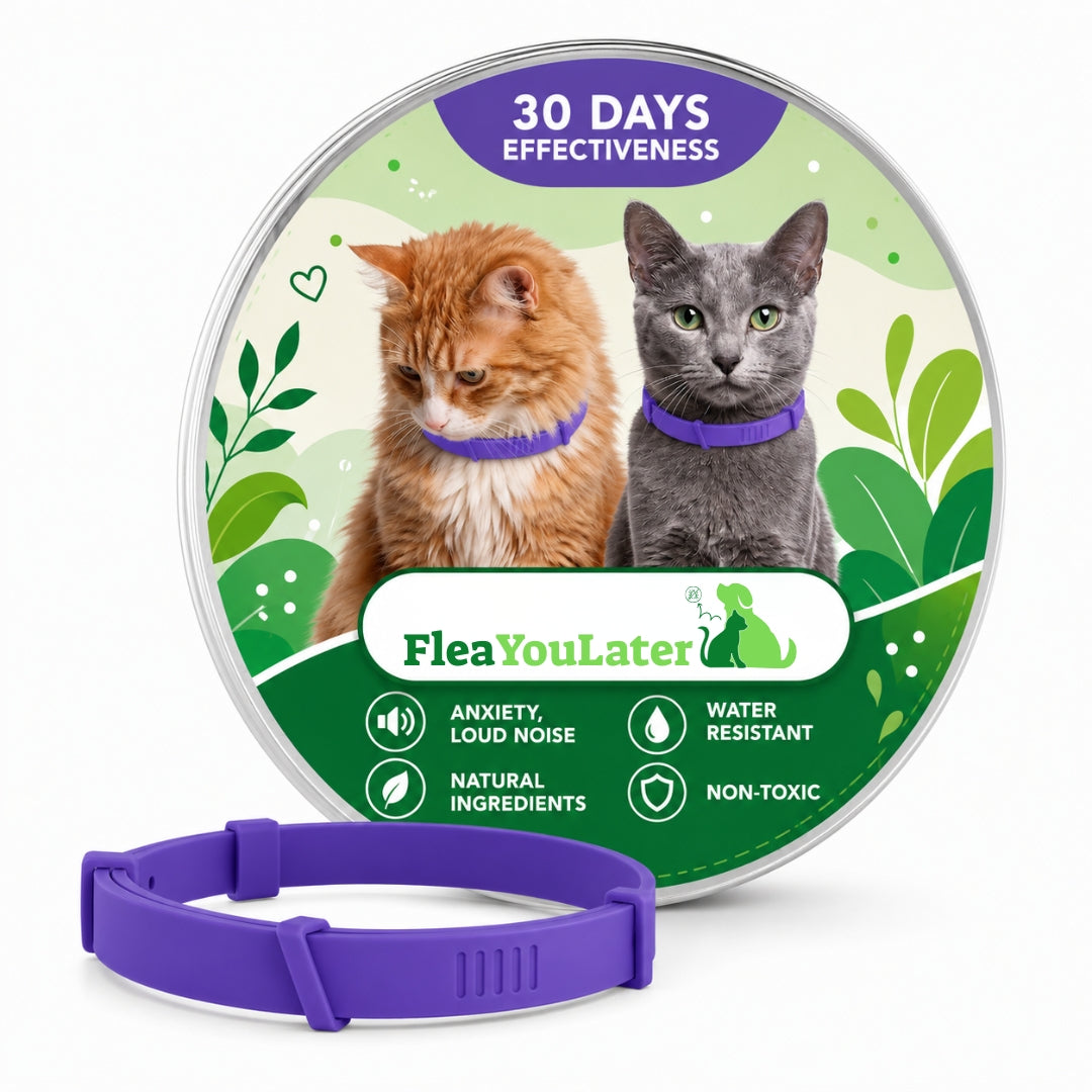 Advanced Anxiety & Stress Relief Calming Collar for cats