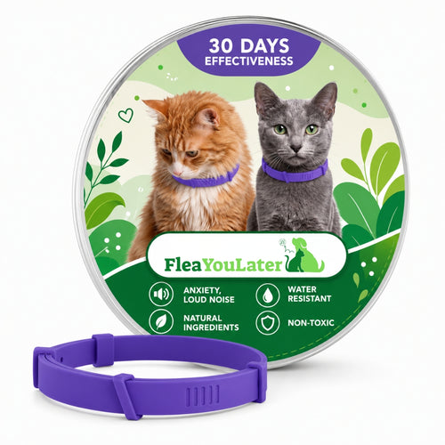 Advanced Anxiety & Stress Relief Calming Collar for cats