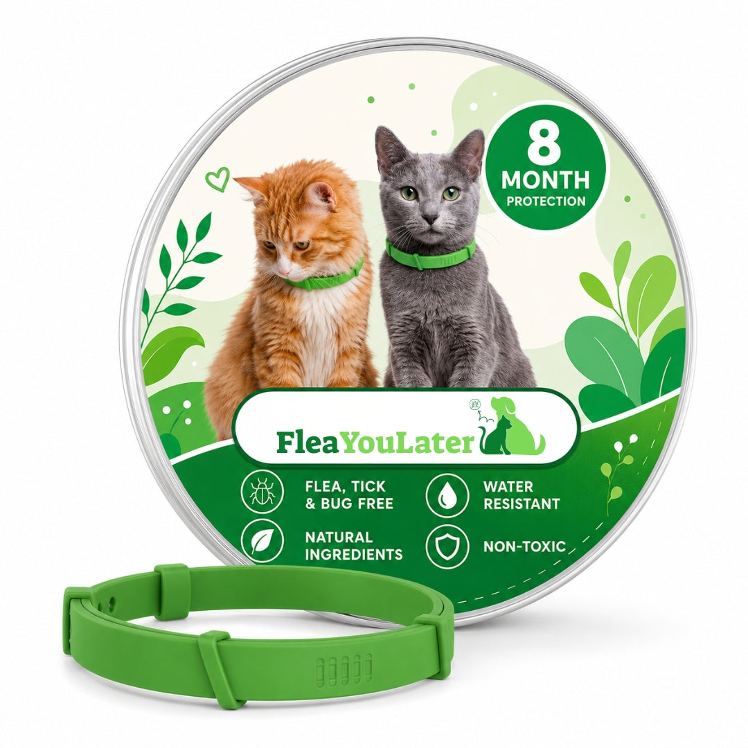 8 Months Chemical-Free Flea & Tick Collar for cats
