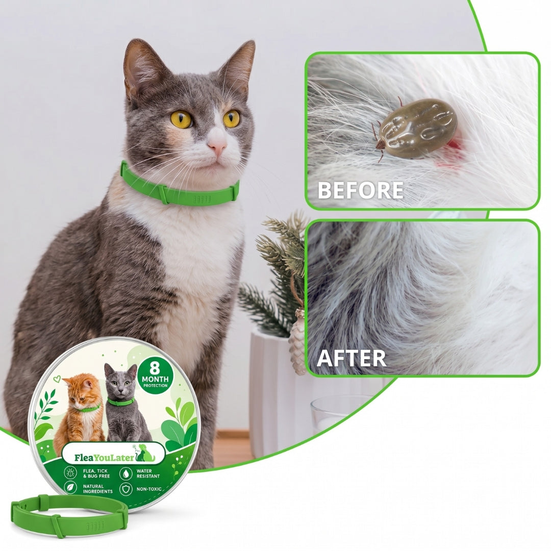 8 Months Chemical-Free Flea & Tick Collar for cats