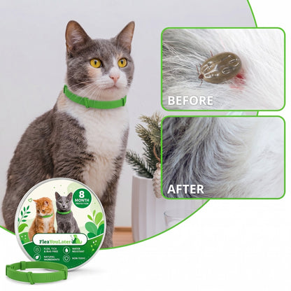 8 Months Chemical-Free Flea & Tick Collar for cats