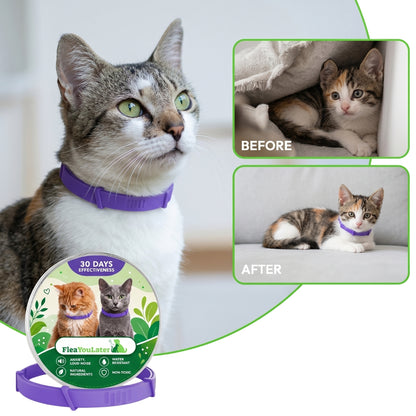Advanced Anxiety & Stress Relief Calming Collar for cats