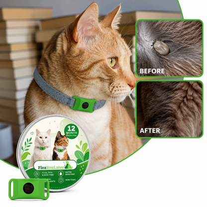 12 Months Chemical-Free Flea & Tick Tag for cats
