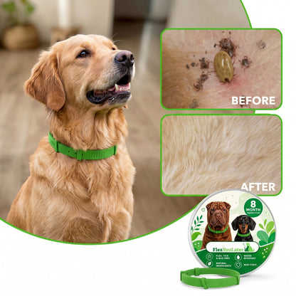 8 Months Chemical-Free Flea & Tick Collar for Dogs