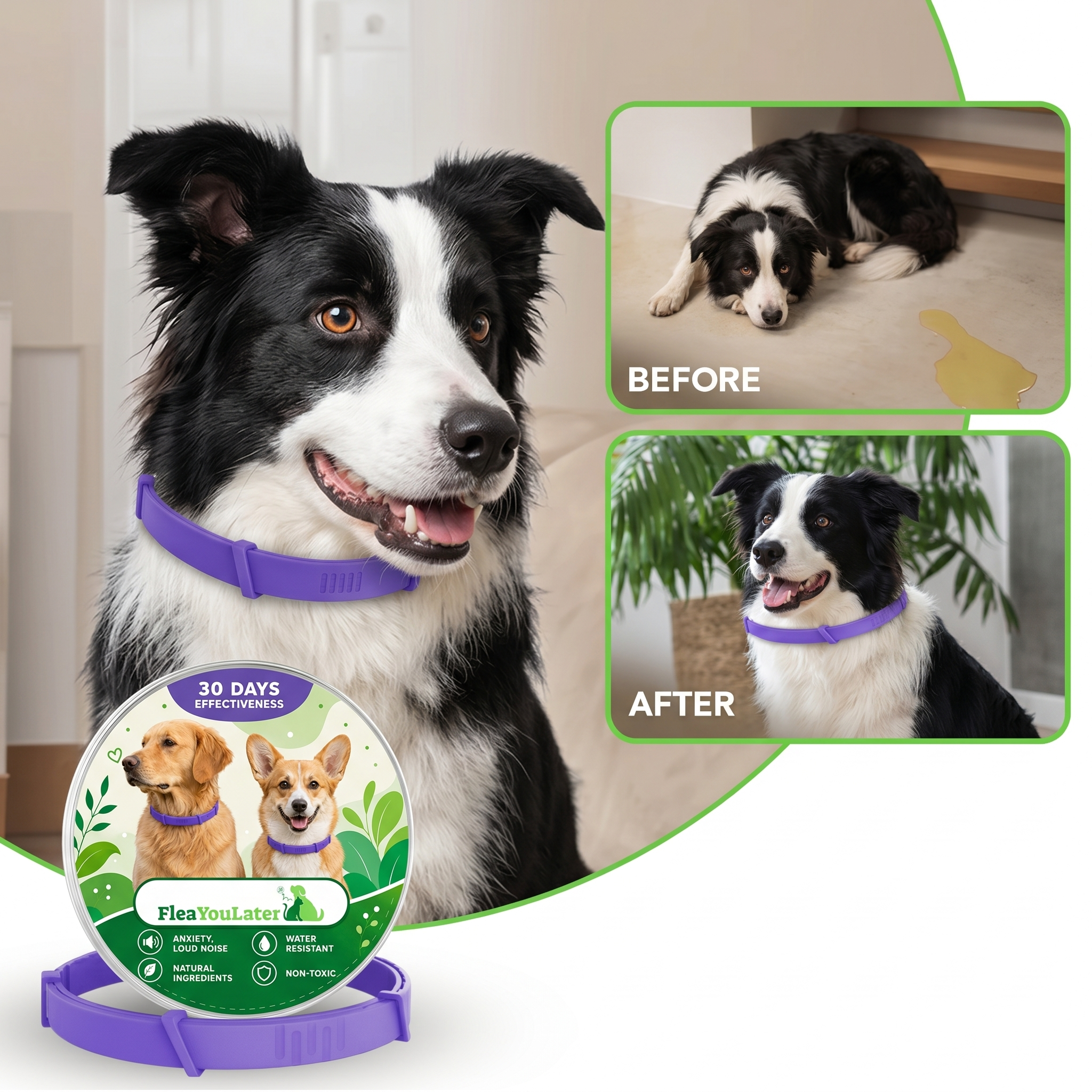 Advanced Anxiety & Stress Relief Calming Collar for Dogs