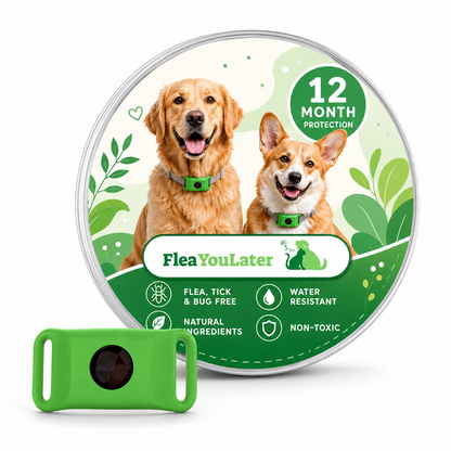 12 Months Chemical-Free Flea & Tick Tag for Dogs